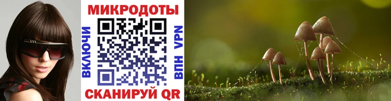 Галлюциногенные грибы Psilocybe  OMG как зайти  Слюдянка 
