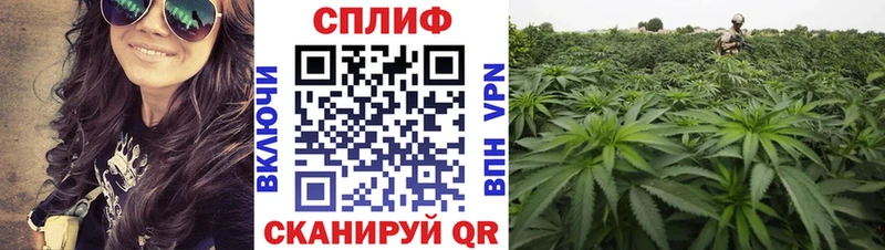 Канабис LSD WEED  купить  сайты  Слюдянка 